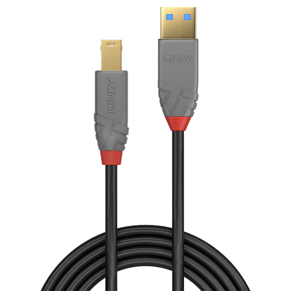 Lindy Anthra Line Type-A to Type-B Cable 5m 36744 - Image 2