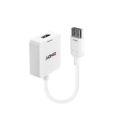 Lindy HDMI to DisplayPort Converter 38146