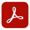 Adobe Acrobat Pro for Teams 1-year Subscription Download 25-pack 65304521CA02312
