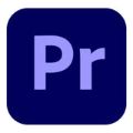 Adobe Premiere Pro 1-Year Teams Standard Assets Subscription Download 65324793CA01A12