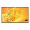 LG 65UH5Q-E 65-inch 4K UHD Signage Display
