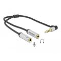 DELOCK 4 SEGMENT F 3.5MM - 2X ST M 3.5 (66437)