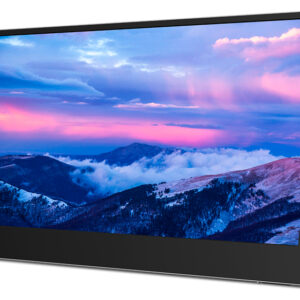 Lenovo L15 15.6-inch 1920 x 1080p FHD 16:9 60Hz 6ms IPS LED Monitor 66E4UAC1WL
