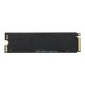 Astrum P256G M.2 256GB PCIe 3.0 NVMe Internal SSD APE256G