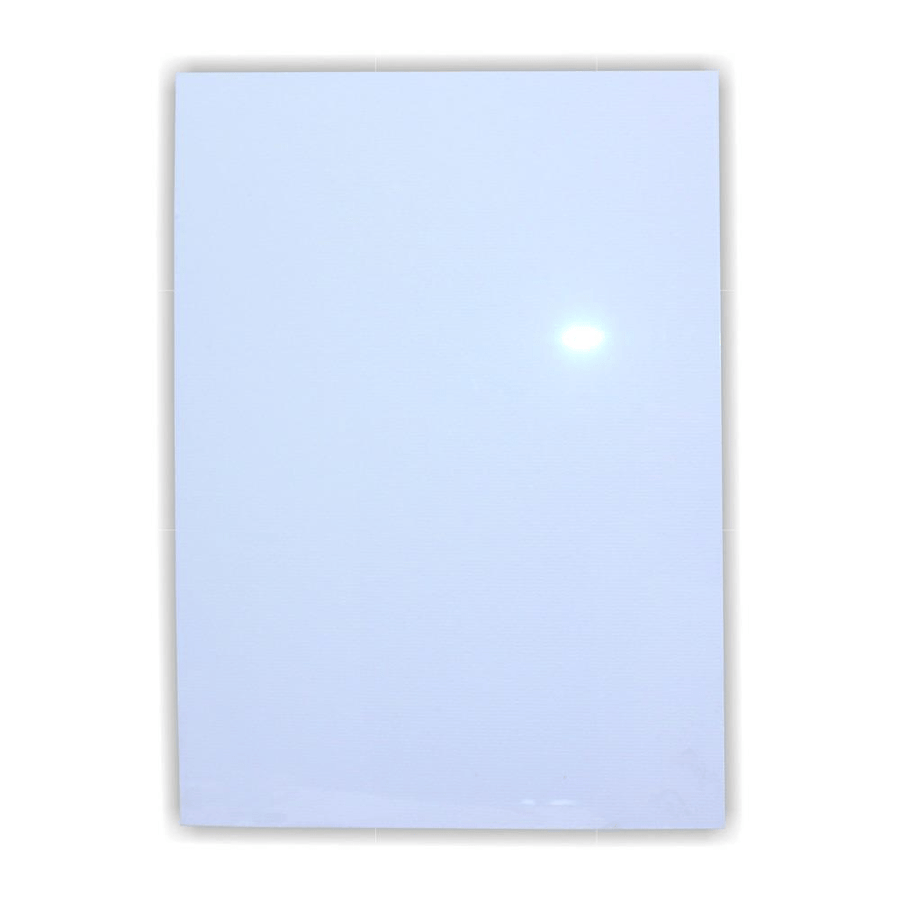 Parrot Poster Frame Clear Media Cover 1.2mm A3 BG0003