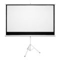 Connex CP202 100-inch E-Luminate Tripod Projector Screen
