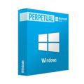 Microsoft Windows GGWA Windows 11 Pro - Legalization Get Genuine - Perpetual License