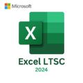 Microsoft Excel LTSC 2024 - Perpetual License