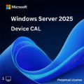 Windows Server 2025 1 Device CAL - Perpetual License