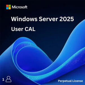 Windows Server 2025 1 User CAL – Perpetual License