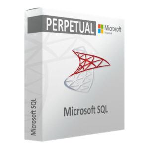 Microsoft SQL Server 2025 Standard – Perpetual License