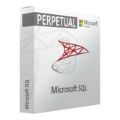 Microsoft SQL Server 2025 Standard Edition 15 CAL - Perpetual License