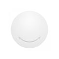 Duxbury AC1200 Dual Band Ceiling Mount Access Point DUX240AP