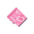 Hiksemi CITY FUN 128GB Class 10 microSDXC Memory Card HS-TF-G2-128G