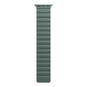 SwitchEasy 45mm Skin Silicone Magnetic Watch Band for Apple Watch Pine Green MAW245078PG22