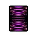 Apple iPad Pro G4 11-inch Tablet - Apple M2 256GB ROM 8GB RAM Wi-Fi iPadOS 16 MNXF3HC/A