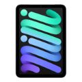Apple iPad mini 8.3-inch Tablet - Apple A17 Pro 256GB ROM 8GB RAM Wi-Fi 5G LTE iPadOS 18 Grey MXPT3QA/A
