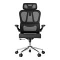 LinkQnet Flexispot OC19 Ergonomic Office Chair