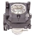 Parrot Replacement Data Projector Lamp OP0513