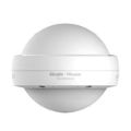 Reyee Dual Band Wi-Fi 6 1800Mbps Gigabit Outdoor AP RG-RAP6262G