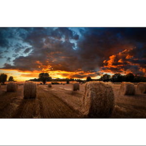 SAMSUNG 55” VIDEO WALL DISPLAY – FULL HD/ 24/7 USAGE/ 500NIT BRIGHTNESS/ 3.5MM BEZEL TO BEZEL
