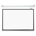 Parrot Pulldown Screen 2450x1420mm with view of 2350x1320mm 16:9 SC0074