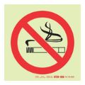 Parrot F27 Photoluminescent 190mm Safety Sign SNP19F27
