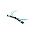 Acconet MPO Female to Female 12Core Patch Lead Cable 1m