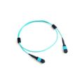 Acconet MPO Female to Female 12Core Patch Lead Cable 2m