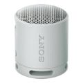 Sony XB100 Portable Bluetooth Speak - Light Grey SRS-XB100/HCE