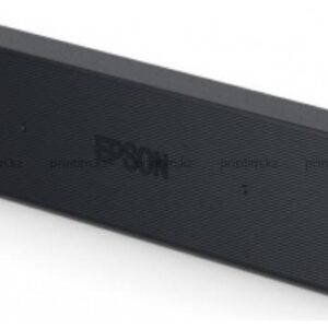 Epson Ink Bags Black WF-C21000 50000 pages