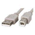 USB Printer Cable 3m CATUSB3AB