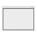 Mecer PPM 98-inch Pulldown Projection Screen PS43_2000